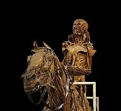 Image 3écorché (with mummification) of a horse and its rider, made between 1766 and 1771 by the French anatomist Honoré Fragonard (1732–1799).