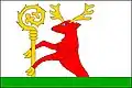 Flag of Ústín