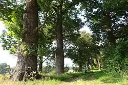 Park