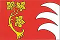 Flag of Šlapanice