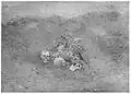 Remains exhumed in Ljuboten