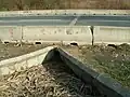 A frog subway