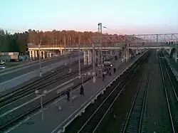 Third platform 2009
