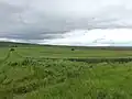 Field in Novo Selo