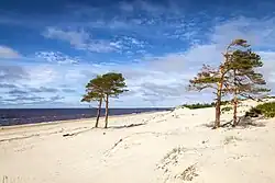 White sea coast