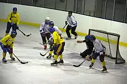 Rink bandy (Team)
