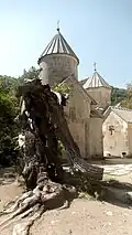 13th-century walnut tree destroyed by lightning in 2013