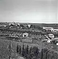 Ayanot 1945