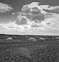 Kfar Saba immigrant housing 1945