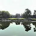 From nearby pond