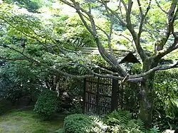 Wabi Garden