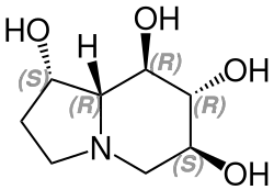 (+)-Castanospermine