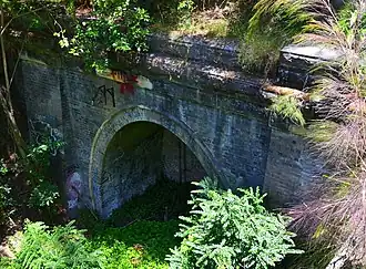 Glenbrook Tunnel constructed in 1892, eastern entrance.