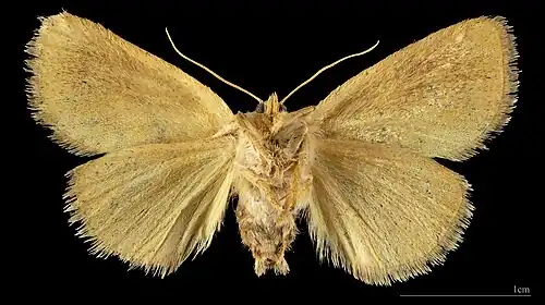 ♂ △