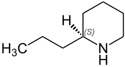 (S)-Coniine