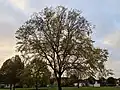 Branching of 'Sapporo AG', Bourne, Lincolnshire (2021)
