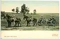 Postcard of the 1 Königlich Sächsische Maschinengewehr-Abteilung Nr. 12 (Royal Saxon Machine Gun Detachment No. 12) with an MG 01 mounted on horse-drawn cart in Dresden, 1905.