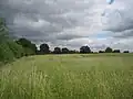 Totteridge Park Open Space