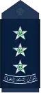 NAQIB