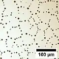 If given enough time, this network of polygons decays into separate droplets.
