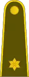 Leitenantas (Lithuanian Land Forces)[48]
