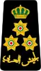 Brigadier