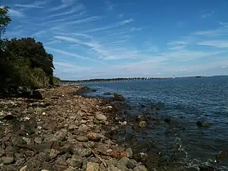 Elevated pathway