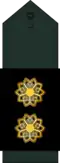 Lieutenant Colonel