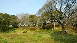 Shōbōji Kofun