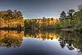 Hamp's Pond