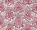 1955 La Femme Rosebud Upholstery Close-Up View