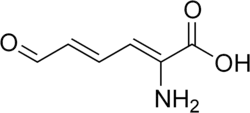 Skeletal formula