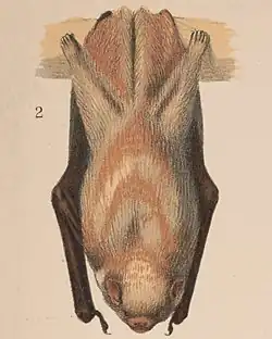 In 1874 art