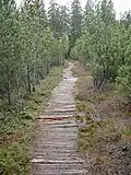 Moorland Trail