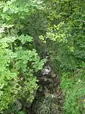 The Birs Source south of Tavannes
