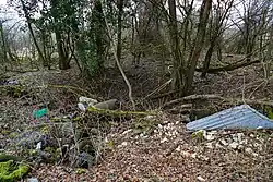 Another view.