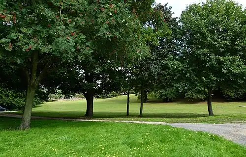 Repository Woods