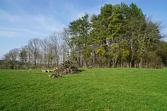 Site of the Champ sur la Pierre well in Grozon