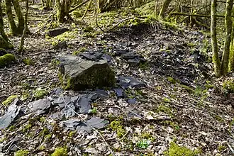 Schist