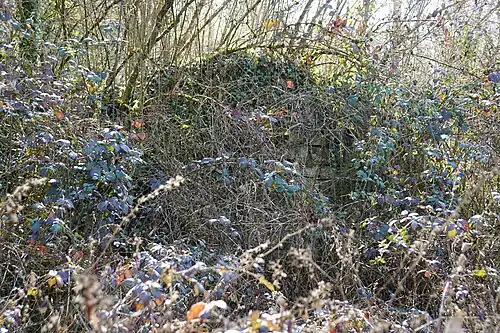 Ruins of the loading building.