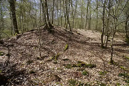 The spoil heap.