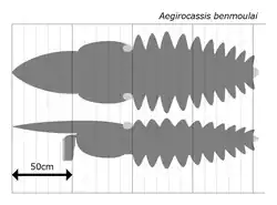 Size estimation (regions in light grey are inferred)