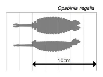 Size estimation