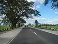 N1 in Gapan