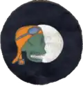 348th Night Fighter Squadron, United States.