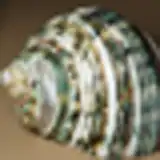 Bicubic Interpolation