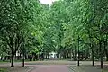 City park