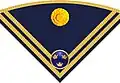 Rank insignia for a lieutenant on hat (Hatt m/1910-14) in the army