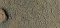 Close, color view of polygonal ground, as seen by HiRISE under HiWish program
