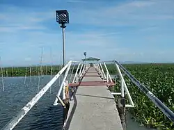 The pier